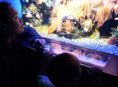 Hee, daar is Nemo!